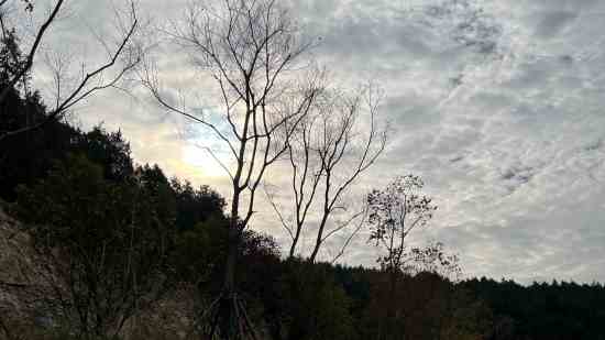 姓单的男孩名字