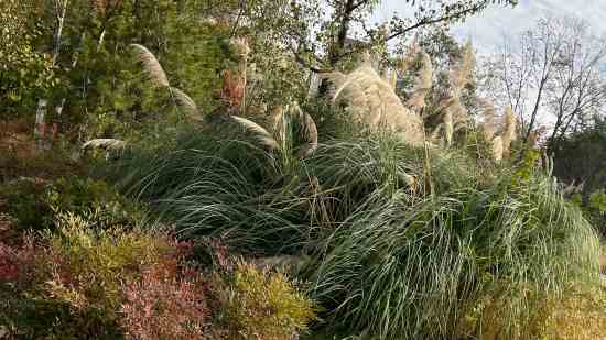 姓太叔男孩三个