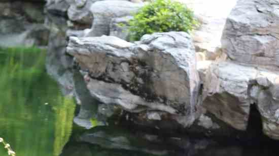 姓潘有诗意男孩