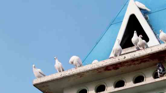 姓司空男孩名字