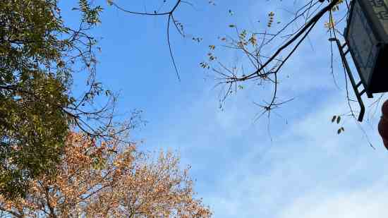 有寓意的马年乳