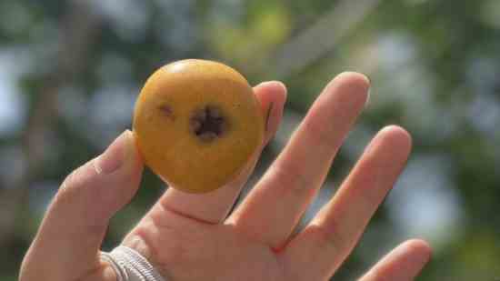 期盼已久的宝宝